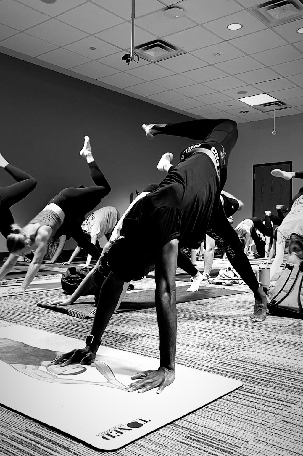 C5D2A4EE-3162-4A79-8EED-25306EA7AC4B (1)